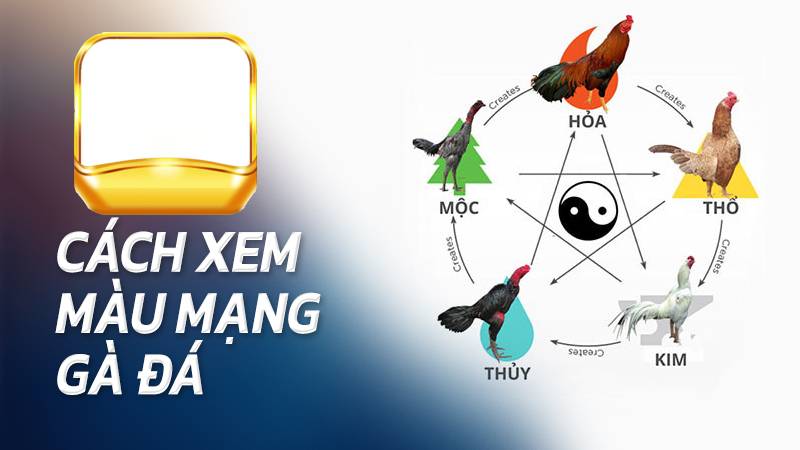 Cách chọn gà đá theo màu mạng để lật thế trận